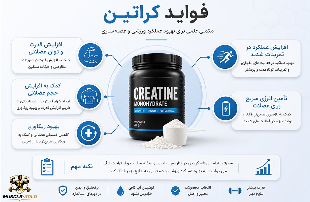 اینفوگرافیک فواید کراتین برای افزایش قدرت و عضله سازی