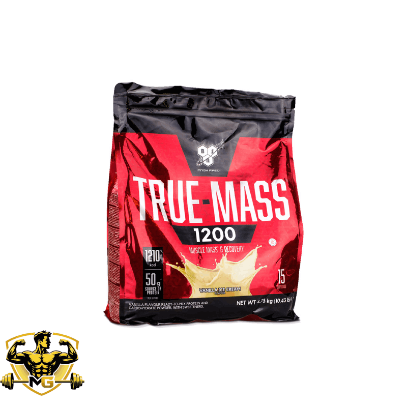 Gainer TRUE MASS BSN-1
