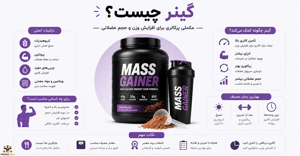 اینفوگرافیک گینر و ترکیبات، مزایا و بهترین زمان مصرف برای افزایش حجم عضلانی