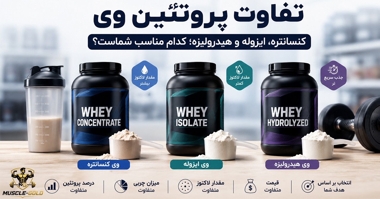 تفاوت پروتئین وی کنسانتره، ایزوله و هیدرولیزه