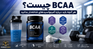 bcaa چیست و چه کاربردی دارد؟ معرفی آمینواسیدهای شاخه دار و مکمل bcaa