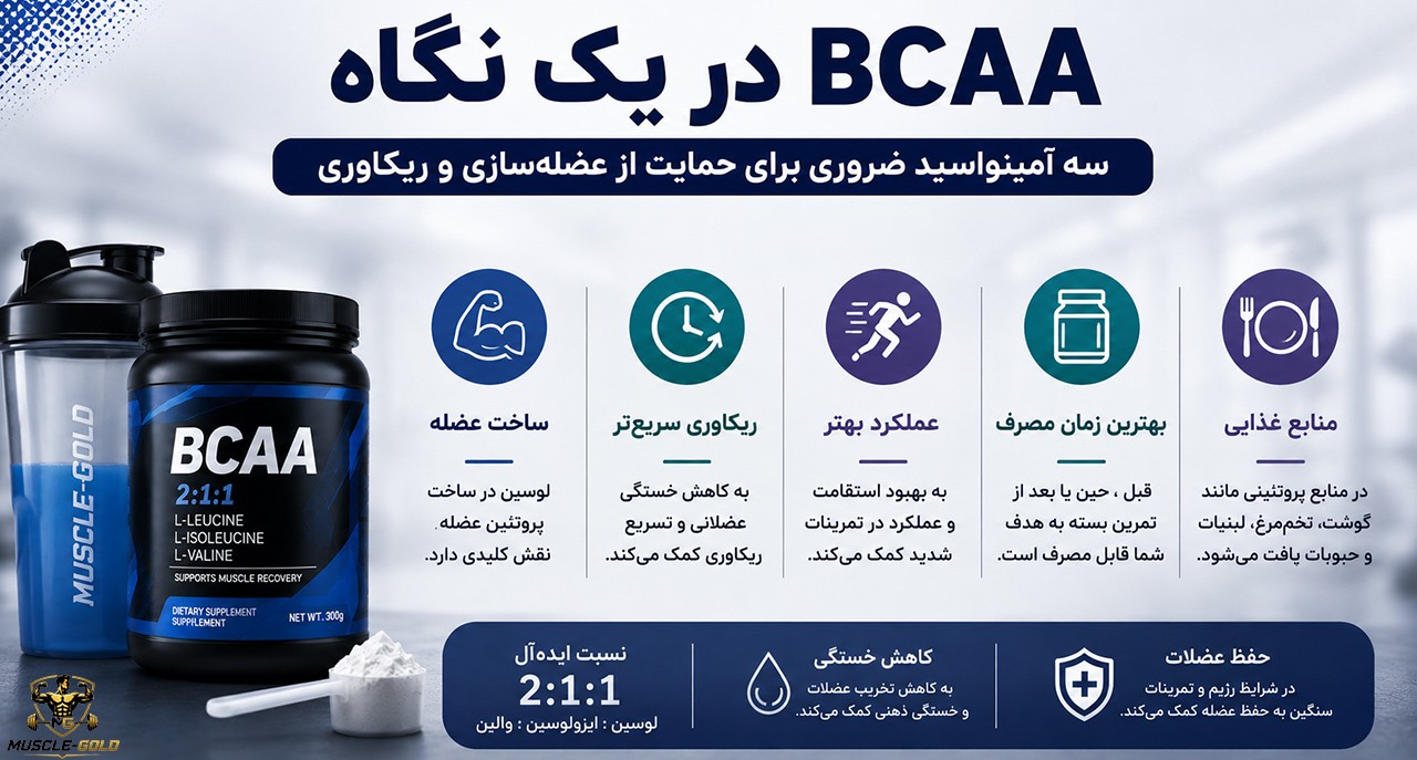 اینفوگرافیک bcaa