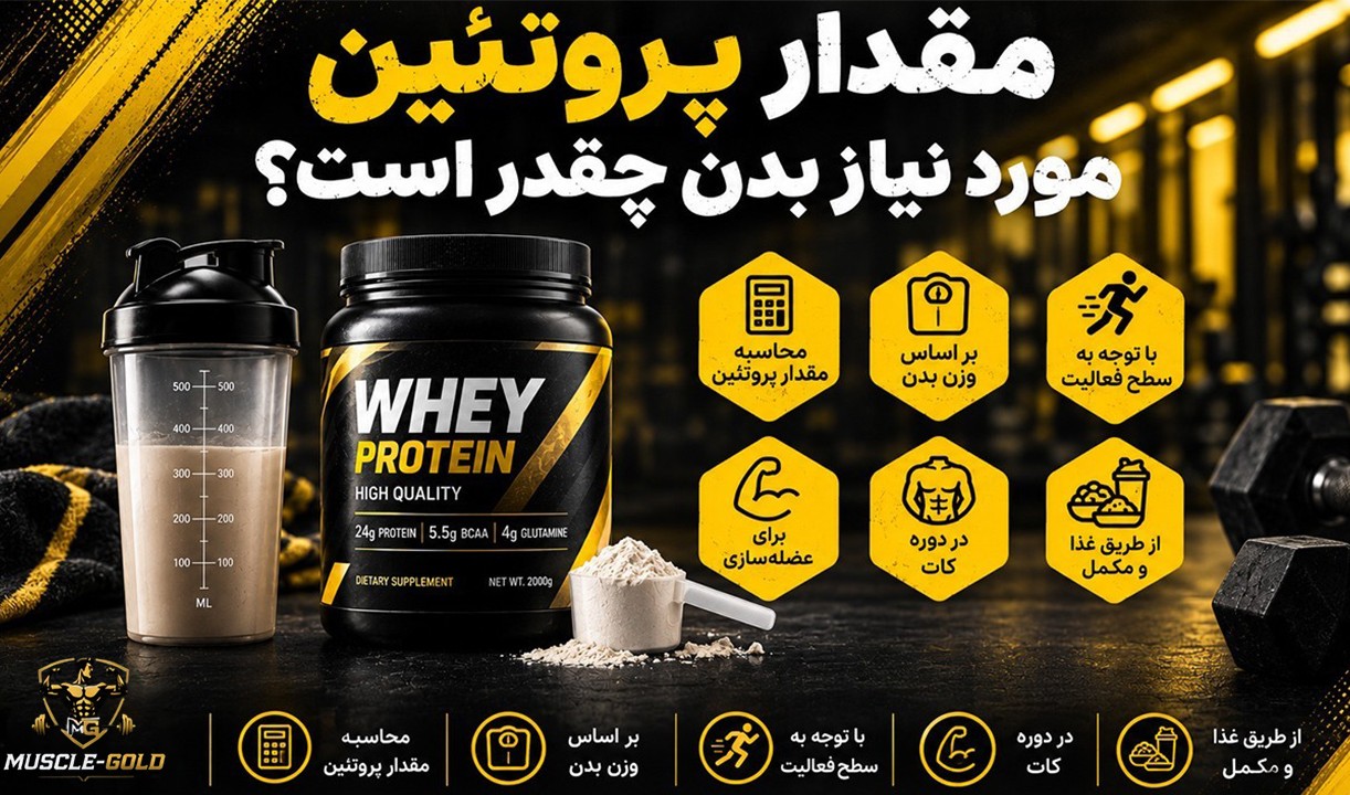 مقدار پروتئین مورد نیاز بدن بر اساس وزن و هدف ورزشی