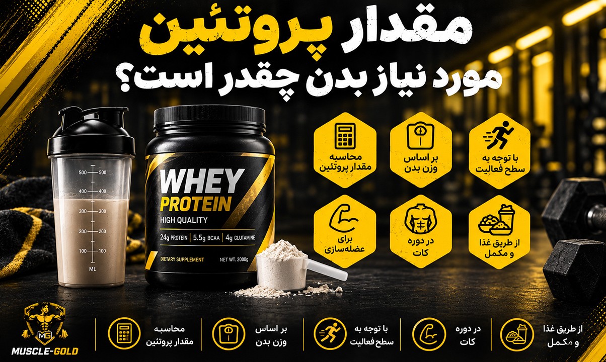 مقدار پروتئین مورد نیاز بدن بر اساس وزن و هدف ورزشی